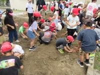 IMG_4158.JPG