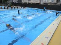 IMG_4186.JPG