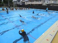 IMG_4188.JPG