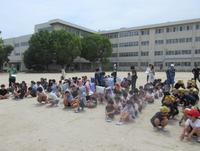 IMG_4208.JPG