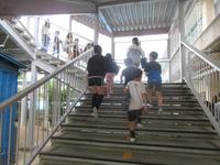 IMG_4340.JPG
