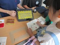 IMG_4348.JPG