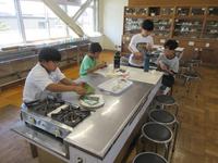IMG_4420.JPG