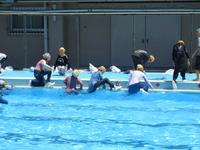 IMG_4460.JPG
