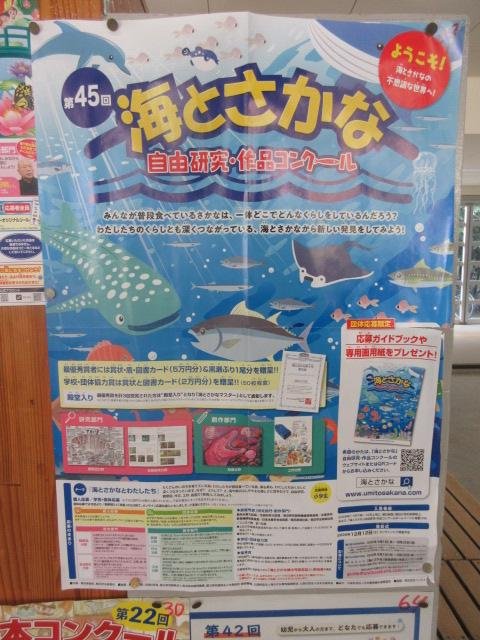 http://blog.suita.ed.jp/es/06-suita6/syougakkou/IMG_4556.JPG
