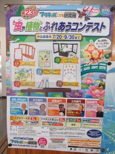 http://blog.suita.ed.jp/es/06-suita6/syougakkou/IMG_4557.JPG