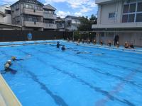 IMG_4584.JPG