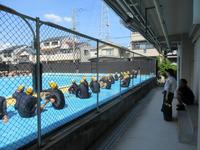 IMG_4604.JPG