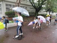 IMG_4652.JPG