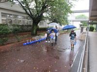 IMG_4654.JPG