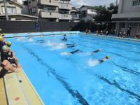 IMG_4724.JPG