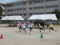 IMG_4756.JPG