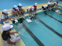 IMG_4775.JPG
