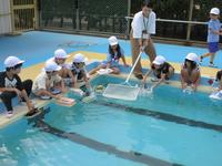 IMG_4776.JPG