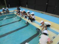 IMG_4777.JPG