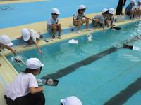 IMG_4778.JPG