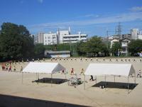 IMG_4879.JPG