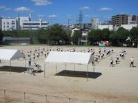 IMG_4881.JPG