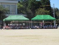 IMG_4957.JPG