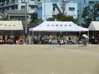 IMG_5001.JPG