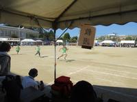 IMG_5002.JPG