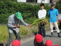 IMG_5020.JPG