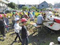 IMG_5027.JPG