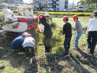 IMG_5028.JPG