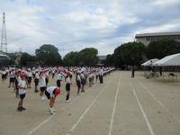 IMG_5055.JPG