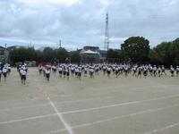 IMG_5063.JPG