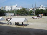 IMG_5093.JPG