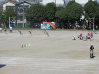 IMG_5098.JPG