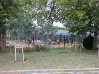 IMG_5130.JPG