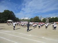 IMG_5136.JPG