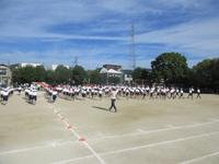 IMG_5137.JPG