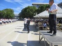 IMG_5251.JPG