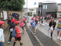 IMG_5260.JPG