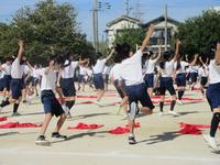 IMG_5242.JPG
