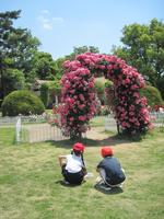IMG_2276.JPG