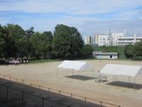 IMG_4725.JPG