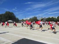 IMG_5245.JPG