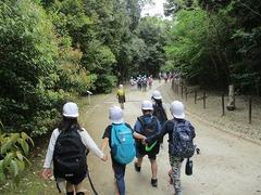 IMG_2986.jpg