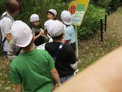 IMG_2990.jpg
