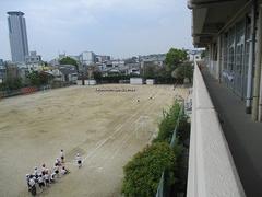 IMG_7656.jpg