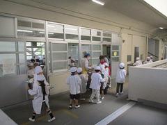 IMG_7675.jpg