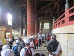 IMG_7843.jpg