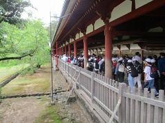 IMG_7847.jpg