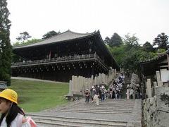 IMG_7850.jpg