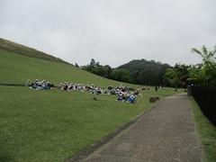 IMG_7854.jpg