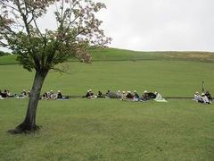 IMG_7855.jpg